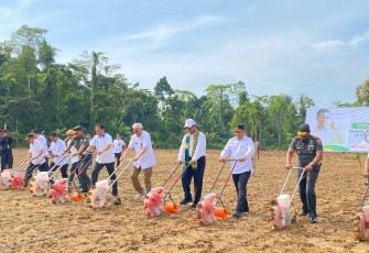 Danrem 143/HO Dampingi Menteri Pertanian Laksanakan Penanaman Perdana Kelapa Genjah dan Jagung