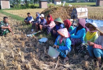 Babinsa Desa Kwangsen saat Himbau Petani Tanam Kedelai atau Jagung Pada Musim Kemarau
