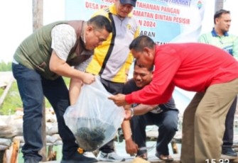 Sekda Bintan Tabur 1200 Benih Ikan Kerapu Cantang di Desa Kelong