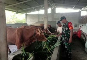 Pengecekan hewan ternak warga binaan