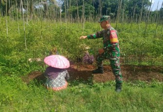 Serma Haris Fadillah saat membentuk merawat tanaman cabe warga binaan, Jum'at (23/2)