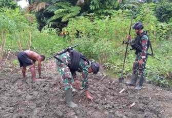 Bantu tanam singkong di lahan warga perbatasan 