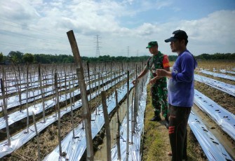 Komsos dengan petani melon wilayah desa binaan 