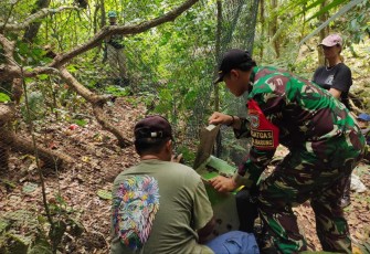 Pelepasan satwa ke habitatnya