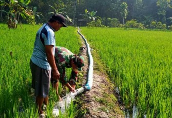 Pendampingan petani wilayah desa binaan 
