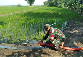 Pompanisasi aliri persawahan petani wilayah binaan 