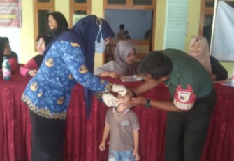 Pelayanan kesehatan posyandu balita di wilayah desa binaan 