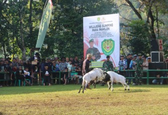 Seni ketangkasan domba Garut, Minggu (30/6)