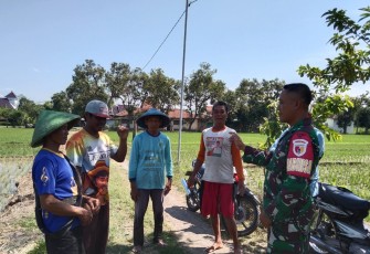 Babinsa Desa Bulakrejo Imbau Petani untuk Tidak Gunakan Listrik Dalam Pengendalian Hama Tikus 