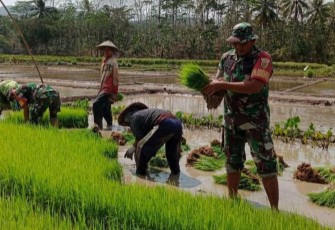 Pendampingan petani wilayah desa binaan 