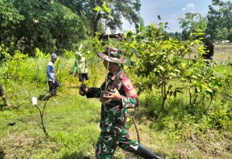 Penghijauan lahan di wilayah desa binaan 
