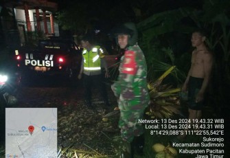 Evakuasi pohon tumbang di wilayah desa binaan 