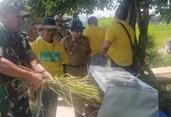 Danramil Kebonsari Bersama Muspika saat Hadiri Ubinan Padi