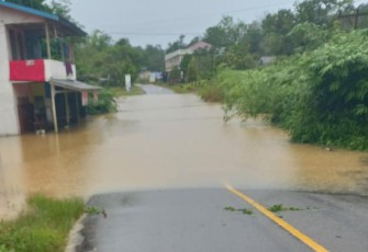 Kondisi banjir yang melanda Desa Nanga Tepuai, Kecamatan Hulu Gunung, Kabupaten Kapuas Hulu, Kalimantan Barat pada Jumat (5/1)
