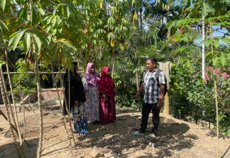 Medco E&P Bina Lima Kelompok Tani Perempuan Aceh Timur 