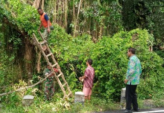 Anggota personel Koramil 0806/07 Watulimo bersatu dengan sejumlah instansi dan komunitas setempat untuk melaksanakan gotong royong pemotongan kayu yang membahayakan pengguna jalan, Kamis (4/1/2024)