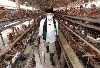 Gus Imin saat tinjau peternakan unggas di Kabupaten Blitar, Jawa Timur, Kamis, 11 Januari 2024.