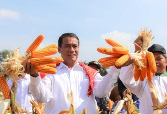 Mentan Amran saat Panen Jagung Kota Medan, Senin, 5 Februari 2024.
