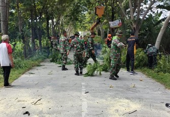 Koramil Padas Bersama Relawan saat Tebangi Pohon di Pinggir Jalan Raya