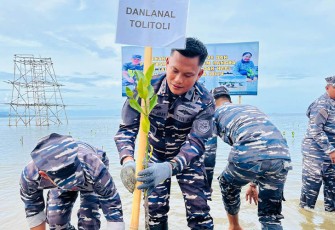 Komandan Lanal Tolitoli Letkol Laut (P) Alpirut Yani Musa Samban, S.E., M.Tr.Opsla saat turut tanam Mangrove