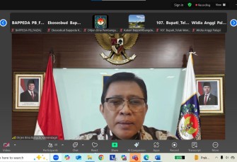Direktur Jenderal Bina Pembangunan Daerah, Restuardy Daud