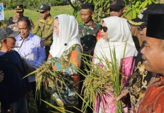Bupati dan Wakil Bupati Natuna Panen Raya di Desa Payak Serasan Timur