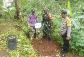 Babinsa Ngranget Dampingi Penanaman Bibit Pohon Produktif