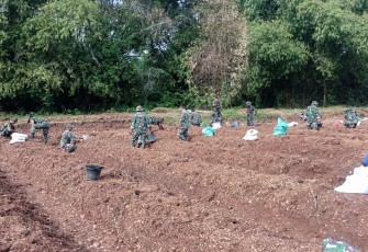 Anggota Kodim 0805 Ngawi Kompak Tanam sayuran dan Umbi-Umbian 