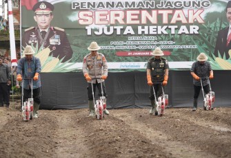 Kasdam IX/UDY Apresiasi Program Kementan RI, Tanam Jagung 1 Hektar