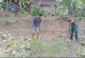 Bersama Warga Binaan Babinsa Koramil Karanganyar Tingkatkan Ketahanan Pangan Dengan Menanam Jagung