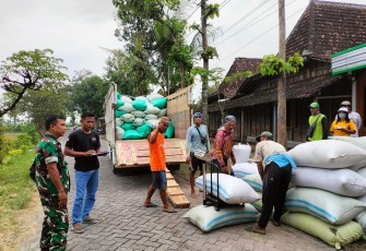 Babinsa Koramil Paron Serka Sugiono saat Dampingi Petani dalam Program Sergap Bersama Bulog