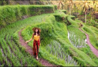 Bali Sun Tours Luncurkan Portofolio Pengalaman 2025 dan Pemesanan Langsung