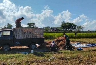 Panen kedelai petani wilayah desa binaan 