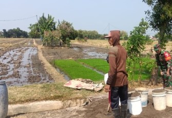Bantu petani wilayah desa binaan 