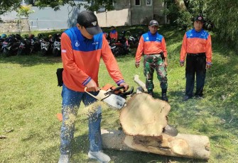 TRC Multisektor Kabupaten Trenggalek 