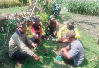 Komsos Babinsa bersama petani warga binaannya
