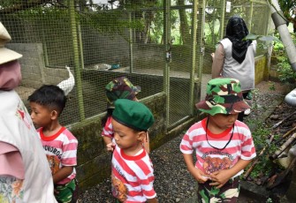 Eduwisata penakaran burung merak