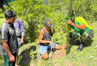 Tanam bambu bersama warga perbatasan 
