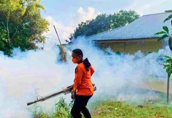 Dinkes Bersama BPBD dan BKK Lakukan Fogging
