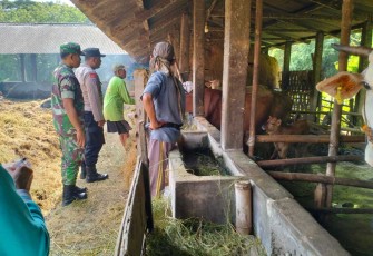 Pengecekan hewan ternak warga binaan