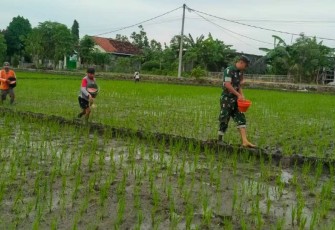Pendampingan petani wilayah desa binaan 