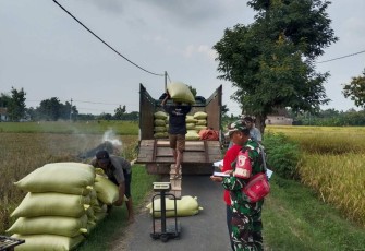 Pendampingan pemasaran gabah petani desa binaan 