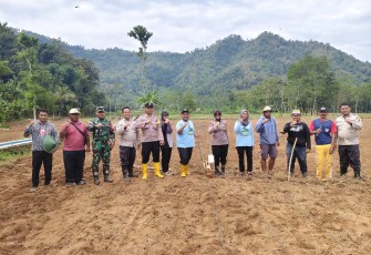 Tanam jagung di wilayah desa binaan 