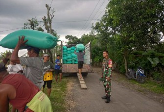 Penyerapan gabah petani desa binaan 