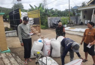 Penyerapan gabah petani desa binaan 