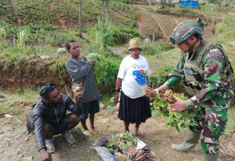 Satgas Yonif 700/Wyc borong hasil pertanian warga