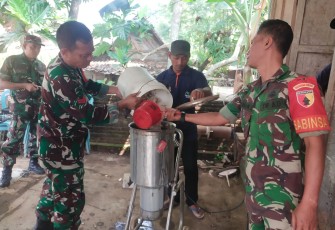 Babinsa Jajaran Kodim Ngawi Dukung Swasembada Pangan Lewat Pelatihan Agen Hayati dan Pertanian Ramah Lingkungan