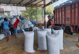 Serap gabah petani desa binaan 