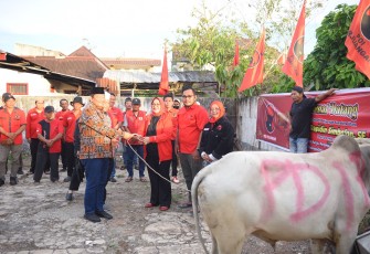 Ketua DPD PDI Perjuangan Sumatera Utara, Drs Rapidin Simbolon SE.MM merupakan tokoh politik di Sumatera Utara yang di kenal konsisten menyalurkan hewan qurban