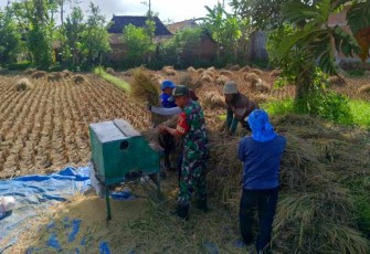 Bantu panen padi warga binaan